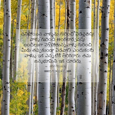 Picture 07 - యిర్మీయా 22:10 TELIRV - చనిపోయిన వాళ్ళను - Bible Verse Picture