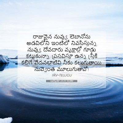 Picture 07 - యిర్మీయా 22:23 TELIRV - రాజువైన నువ్వు, - Bible Verse Picture