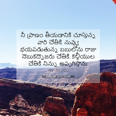 Picture 07 - యిర్మీయా 22:25 TELIRV - నీ ప్రాణం - Bible Verse Picture