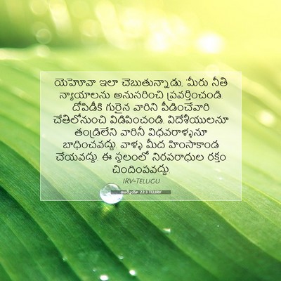 Picture 07 - యిర్మీయా 22:3 TELIRV - యెహోవా ఇలా - Bible Verse Picture