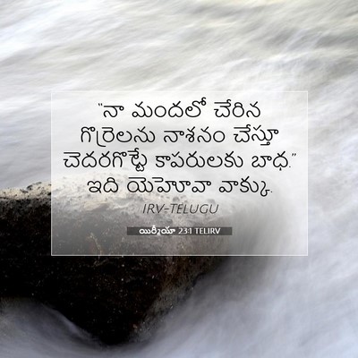 Picture 07 - యిర్మీయా 23:1 TELIRV - “నా మందలో చేరిన - Bible Verse Picture