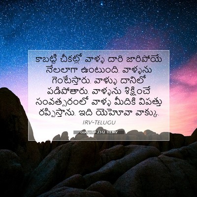 Picture 07 - యిర్మీయా 23:12 TELIRV - కాబట్టి చీకట్లో - Bible Verse Picture