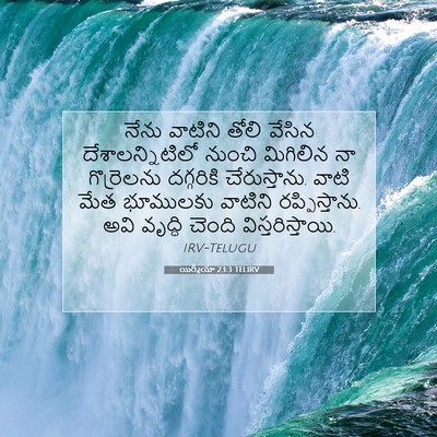 Picture 07 - యిర్మీయా 23:3 TELIRV - నేను వాటిని తోలి - Bible Verse Picture