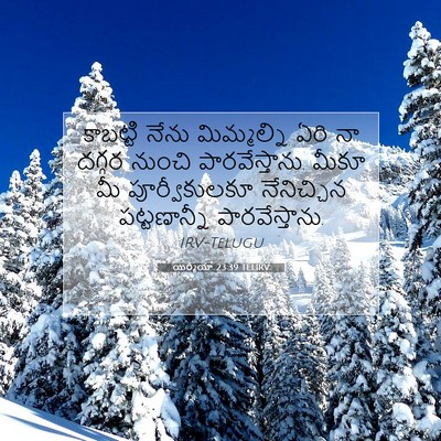 Picture 07 - యిర్మీయా 23:39 TELIRV - కాబట్టి నేను - Bible Verse Picture