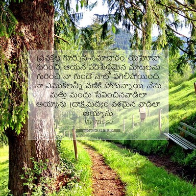 Picture 07 - యిర్మీయా 23:9 TELIRV - ప్రవక్తల గూర్చిన - Bible Verse Picture