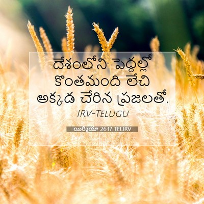 Picture 07 - యిర్మీయా 26:17 TELIRV - దేశంలోని - Bible Verse Picture