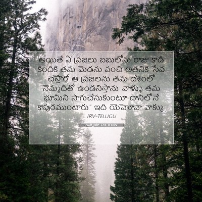 Picture 07 - యిర్మీయా 27:11 TELIRV - అయితే ఏ ప్రజలు - Bible Verse Picture
