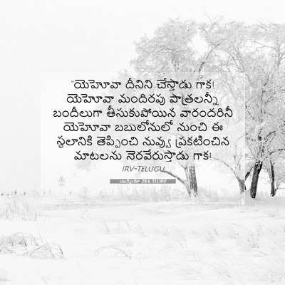 Picture 07 - యిర్మీయా 28:6 TELIRV - “యెహోవా దీనిని - Bible Verse Picture