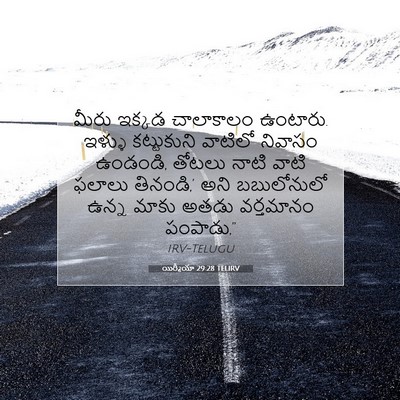 Picture 07 - యిర్మీయా 29:28 TELIRV - మీరు ఇక్కడ - Bible Verse Picture