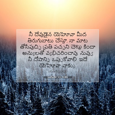 Picture 07 - యిర్మీయా 3:13 TELIRV - నీ దేవుడైన యెహోవా - Bible Verse Picture