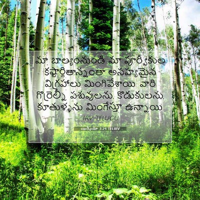 Picture 07 - యిర్మీయా 3:24 TELIRV - మా బాల్యంనుండి మా - Bible Verse Picture