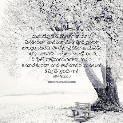 Picture 07 - యిర్మీయా 3:25 TELIRV - మన దేవుడైన యెహోవా - Bible Verse Picture