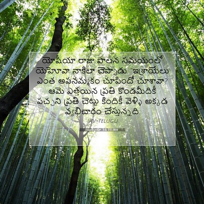 Picture 07 - యిర్మీయా 3:6 TELIRV - యోషీయా రాజు పాలన - Bible Verse Picture