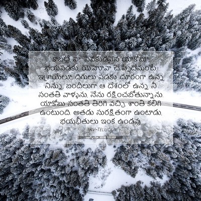 Picture 07 - యిర్మీయా 30:10 TELIRV - కాబట్టి, నా - Bible Verse Picture