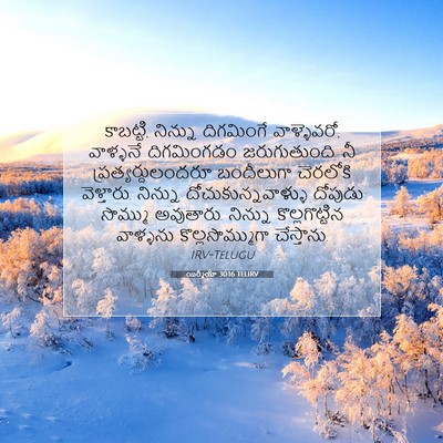 Picture 07 - యిర్మీయా 30:16 TELIRV - కాబట్టి, నిన్ను - Bible Verse Picture