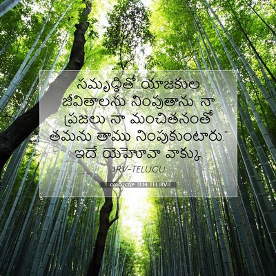 Picture 07 - యిర్మీయా 31:14 TELIRV - సమృద్ధితో యాజకుల - Bible Verse Picture