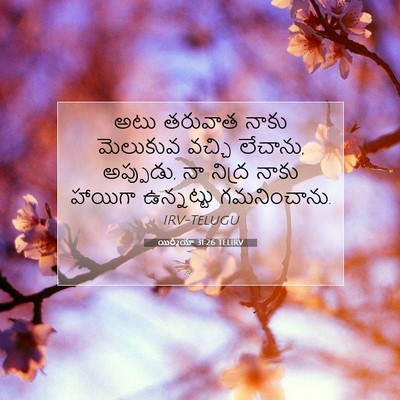 Picture 07 - యిర్మీయా 31:26 TELIRV - అటు తరువాత నాకు - Bible Verse Picture