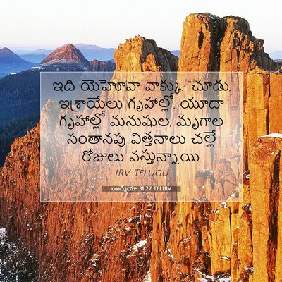 Picture 07 - యిర్మీయా 31:27 TELIRV - ఇది యెహోవా వాక్కు. - Bible Verse Picture