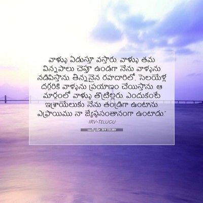 Picture 07 - యిర్మీయా 31:9 TELIRV - వాళ్ళు ఏడుస్తూ - Bible Verse Picture