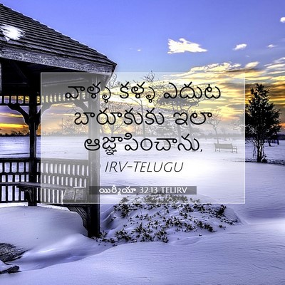 Picture 07 - యిర్మీయా 32:13 TELIRV - వాళ్ళ కళ్ళ ఎదుట - Bible Verse Picture