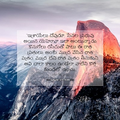 Picture 07 - యిర్మీయా 32:14 TELIRV - “ఇశ్రాయేలు - Bible Verse Picture