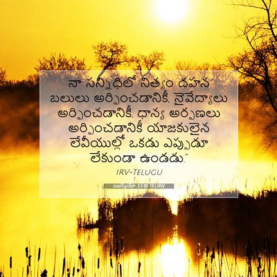 Picture 07 - యిర్మీయా 33:18 TELIRV - నా సన్నిధిలో - Bible Verse Picture