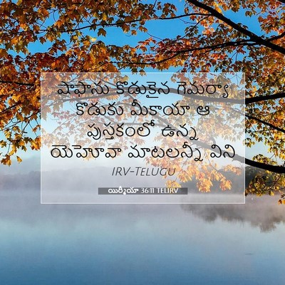 Picture 07 - యిర్మీయా 36:11 TELIRV - షాఫాను కొడుకైన - Bible Verse Picture