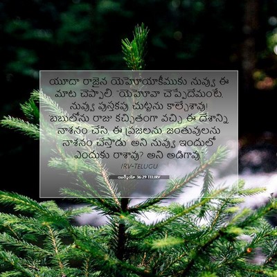 Picture 07 - యిర్మీయా 36:29 TELIRV - యూదా రాజైన - Bible Verse Picture