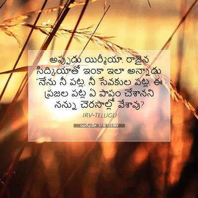 Picture 07 - యిర్మీయా 37:18 TELIRV - అప్పుడు యిర్మీయా, - Bible Verse Picture