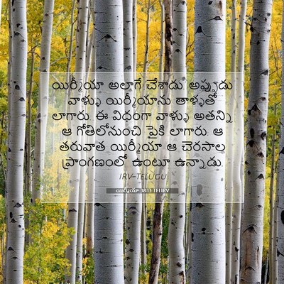 Picture 07 - యిర్మీయా 38:13 TELIRV - యిర్మీయా అలాగే - Bible Verse Picture