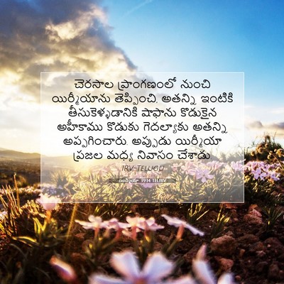Picture 07 - యిర్మీయా 39:14 TELIRV - చెరసాల ప్రాంగణంలో - Bible Verse Picture