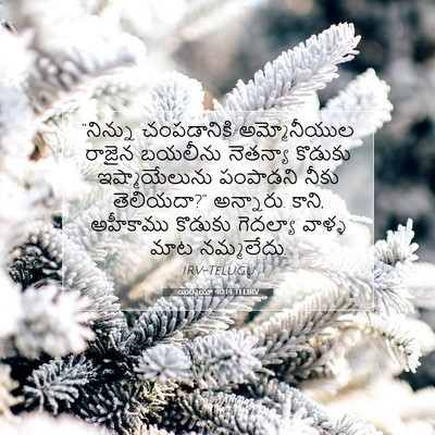Picture 07 - యిర్మీయా 40:14 TELIRV - “నిన్ను చంపడానికి - Bible Verse Picture