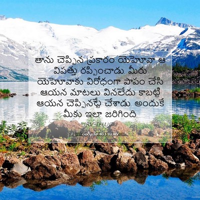 Picture 07 - యిర్మీయా 40:3 TELIRV - తాను చెప్పిన - Bible Verse Picture