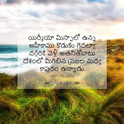 Picture 07 - యిర్మీయా 40:6 TELIRV - యిర్మీయా మిస్పాలో - Bible Verse Picture