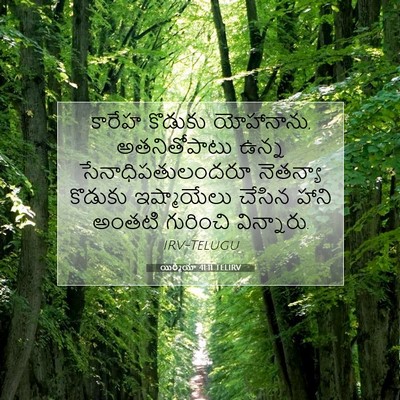 Picture 07 - యిర్మీయా 41:11 TELIRV - కారేహ కొడుకు - Bible Verse Picture