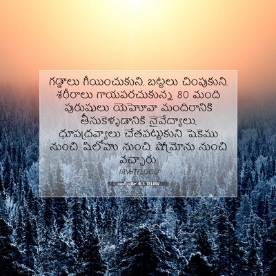 Picture 07 - యిర్మీయా 41:5 TELIRV - గడ్డాలు - Bible Verse Picture