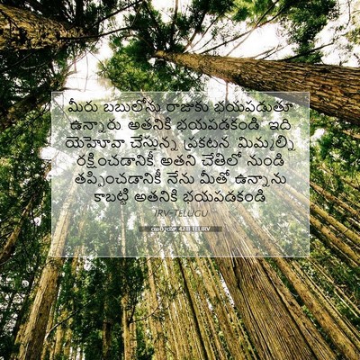 Picture 07 - యిర్మీయా 42:11 TELIRV - మీరు బబులోను - Bible Verse Picture