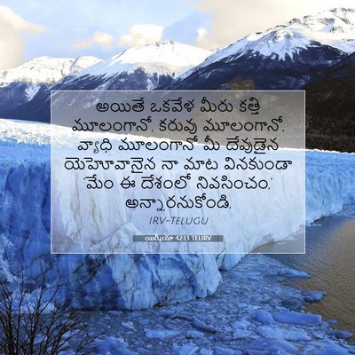Picture 07 - యిర్మీయా 42:13 TELIRV - అయితే ఒకవేళ మీరు - Bible Verse Picture