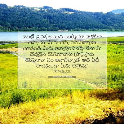 Picture 07 - యిర్మీయా 42:4 TELIRV - కాబట్టి ప్రవక్త - Bible Verse Picture