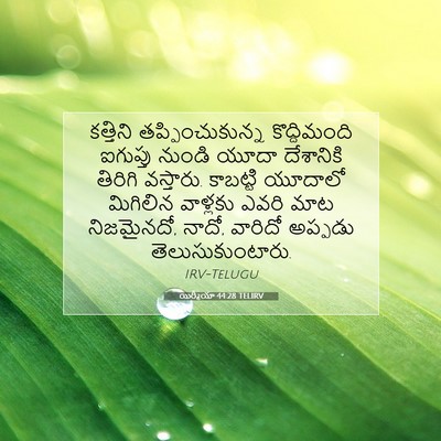 Picture 07 - యిర్మీయా 44:28 TELIRV - కత్తిని - Bible Verse Picture