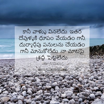 Picture 07 - యిర్మీయా 44:5 TELIRV - కానీ వాళ్ళు - Bible Verse Picture