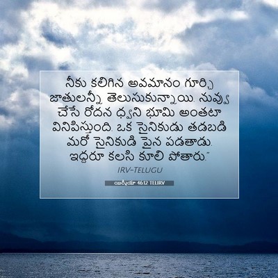 Picture 07 - యిర్మీయా 46:12 TELIRV - నీకు కలిగిన - Bible Verse Picture