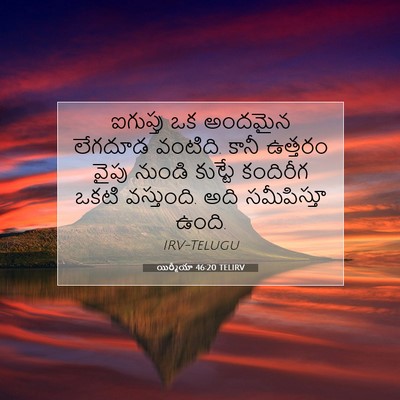 Picture 07 - యిర్మీయా 46:20 TELIRV - ఐగుప్తు ఒక అందమైన - Bible Verse Picture