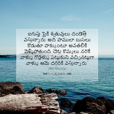 Picture 07 - యిర్మీయా 46:22 TELIRV - ఐగుప్తు పైకి - Bible Verse Picture