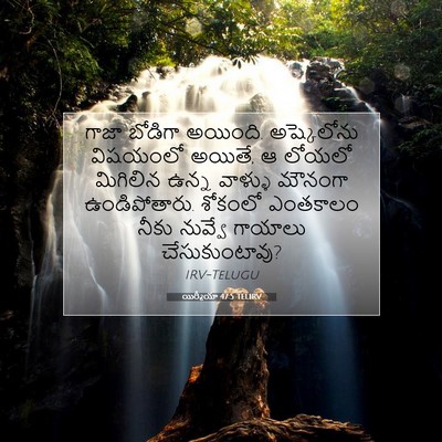 Picture 07 - యిర్మీయా 47:5 TELIRV - గాజా బోడిగా - Bible Verse Picture