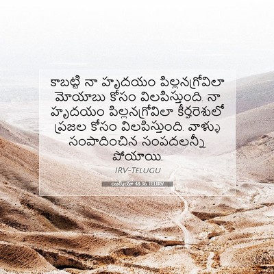 Picture 07 - యిర్మీయా 48:36 TELIRV - కాబట్టి నా హృదయం - Bible Verse Picture