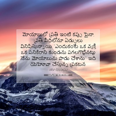 Picture 07 - యిర్మీయా 48:38 TELIRV - మోయాబులో ప్రతి - Bible Verse Picture