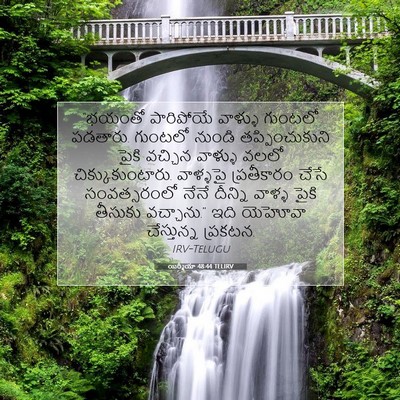Picture 07 - యిర్మీయా 48:44 TELIRV - “భయంతో పారిపోయే - Bible Verse Picture
