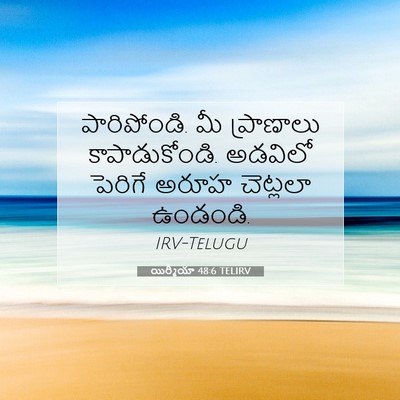 Picture 07 - యిర్మీయా 48:6 TELIRV - పారిపోండి. మీ - Bible Verse Picture