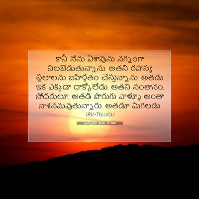 Picture 07 - యిర్మీయా 49:10 TELIRV - కానీ నేను ఏశావును - Bible Verse Picture